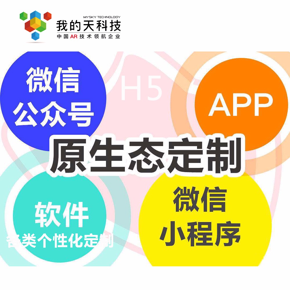 APP研发与北京小程序开发 从战略选择到落地实践的全景指南
